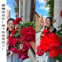 https://images.plurk.com/2lC9ORZQcjTJCBF9X2irMM.jpg