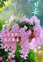 https://images.plurk.com/2lFz3AWsB7yrYp9eLtpBOj.jpg