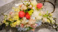 https://images.plurk.com/2lKPR06GXmPkXQojJSYP5P.jpg