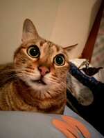 https://images.plurk.com/2lWLycO4IhWNHDiMhboPfz.jpg
