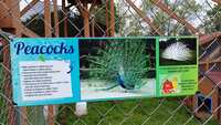 https://images.plurk.com/2lWlbBrgckY96bOrKchTEl.jpg