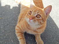 https://images.plurk.com/2lYAKeShsoqBf2owVbhVN5.jpg