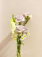 https://images.plurk.com/2la3F1sland7SQKtcVm601.jpg