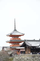 https://images.plurk.com/2lbOBmcGj9jwmTLioeU7C0.jpg