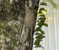https://images.plurk.com/2ldMe5FDlJ25UwmPvTqo7h.jpg