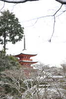 https://images.plurk.com/2ldPHlcSS4ASIkVgA6m8OD.jpg