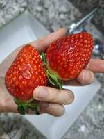https://images.plurk.com/2llJofqBDVmpT0F6pZIE4z.jpg