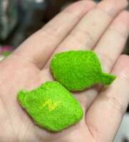 https://images.plurk.com/2lm2SxoTkjfTLT8HhikGJ8.jpg