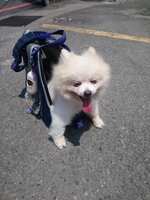 https://images.plurk.com/2loit0ERsTppqjxc7XSTCd.jpg