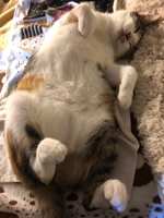 https://images.plurk.com/2loj1IsdSqEVh14IVCVdAW.jpg