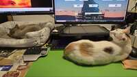 https://images.plurk.com/2lxFKU0a16Tp4aPRcjAoES.jpg