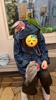 https://images.plurk.com/2ly7FWdZCBIGsQ8hyj8Leh.jpg