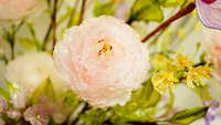 https://images.plurk.com/2lyA0hEnqCmmObCx19R79s.jpg