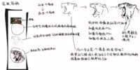 https://images.plurk.com/2m50LxWH3QswsJTKdmeUH0.png