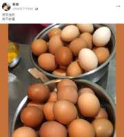 https://images.plurk.com/2m81a4ygLLpgkUIYC9iQXB.png