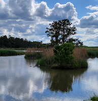 https://images.plurk.com/2mFQsiir4I1ddB64HRVnOL.jpg