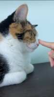 https://images.plurk.com/2mPPbEVUYMkcTrHxNyYiJu.png