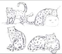 https://images.plurk.com/2mWrCxa1kWWWsqAUMM7Qk5.png
