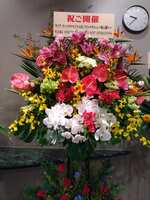 https://images.plurk.com/2mnD6DSQFpmiL0VcXwDG5l.jpg