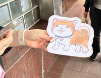 https://images.plurk.com/2mvCMrfKMDqDlDc3sYGx0b.jpg