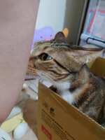 https://images.plurk.com/2n0kP5gwEmgcFLSNfzGuoh.jpg