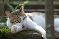 https://images.plurk.com/2n3FH1XroPhZnTJUmtOrqX.jpg