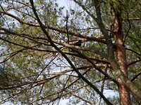 https://images.plurk.com/2n62XdoRsS19n1ArBBCgfw.jpg