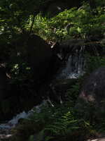 https://images.plurk.com/2nCfTiscLYYMfWS8hzVpVa.jpg