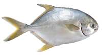 https://images.plurk.com/2nMTD1ibouEkb4pXl7ChRB.jpg