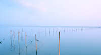 https://images.plurk.com/2nU9B5titeht9VPCMm3QLZ.jpg
