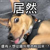 https://images.plurk.com/2nVOBD6Hl3tSrc7ZShsNwR.jpg
