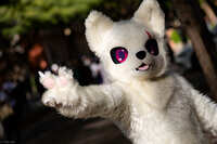 https://images.plurk.com/2nbTPrMBDWzsvNokszYGRT.jpg