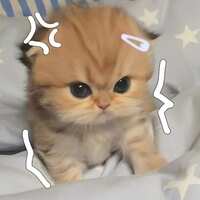 https://images.plurk.com/2nqyO5lCbNnIuopbWITR7x.jpg