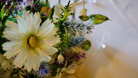 https://images.plurk.com/2nzcztFlBC6DqlYnSQRNJD.jpg