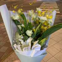 https://images.plurk.com/2o4Gphu5ldvtSPrUcAs7eJ.jpg