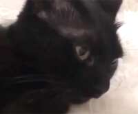 https://images.plurk.com/2o5Ap1DuQRXOU1Ptv21gm.gif