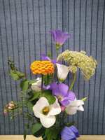 https://images.plurk.com/2oBek5Q3fvrn44iS3Gf4Nk.jpg