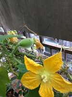 https://images.plurk.com/2oDmG9eSUhjskhnJ7GwWWr.jpg