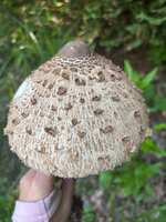 https://images.plurk.com/2oMrtd4bVDpMgsWSUj2Xo9.jpg