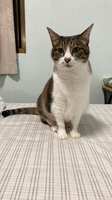 https://images.plurk.com/2oOHUx1gaRDMDHKCndSZY8.jpg
