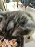https://images.plurk.com/2odNdJscp6qQrGNN3LrpI4.jpg