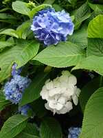 https://images.plurk.com/2oexWAcDiGaqTNZsfxirbZ.jpg