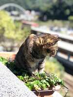 https://images.plurk.com/2ol2u3n7HkJlpCGGUo4OkZ.jpg