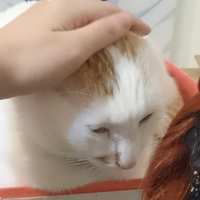 https://images.plurk.com/2olrXT275sY5Tk93CoXRv6.jpg