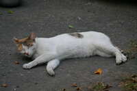 https://images.plurk.com/2omUNqPg5IsSDHECu5GPCk.jpg