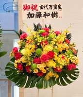 https://images.plurk.com/2onjGR8kJT4rOUpkPZNItU.jpg