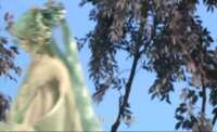 https://images.plurk.com/2ou0ky41ZwhoMMhLbkcMpK.gif