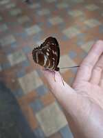 https://images.plurk.com/2ou6kPtvBFvl6Nk8HPHOnv.jpg