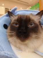 https://images.plurk.com/2ozTf6j7eznYJyWLFLAEFB.jpg