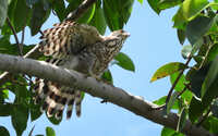 https://images.plurk.com/2p2IpqIEYkpp0aviIXnJr7.jpg